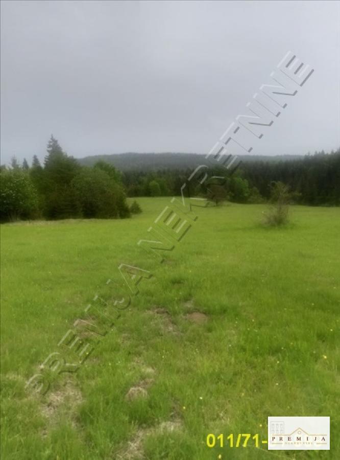 Bild 1683954