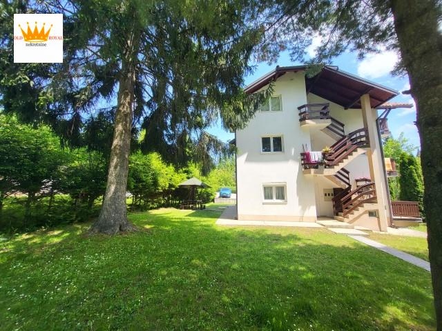Bild 1686062
