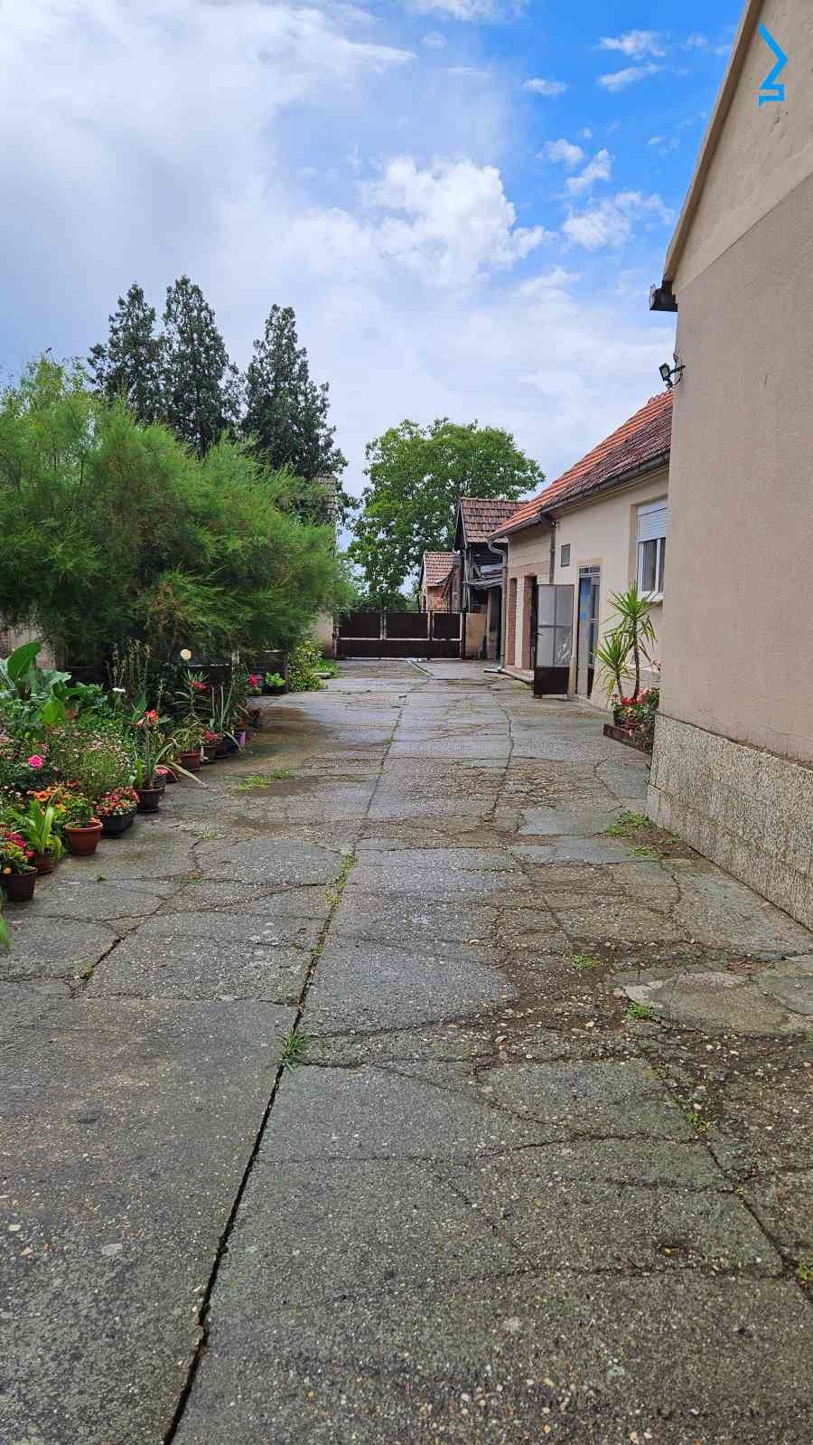 Bild 1690454