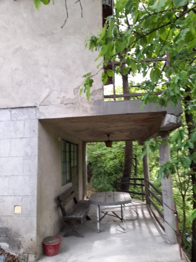 Bild 1787367