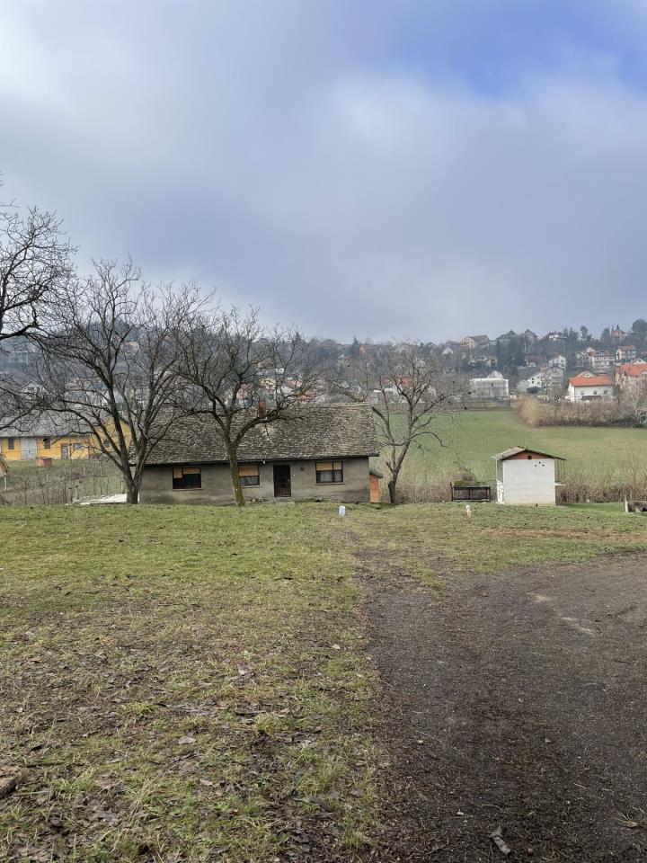 Bild 1855135