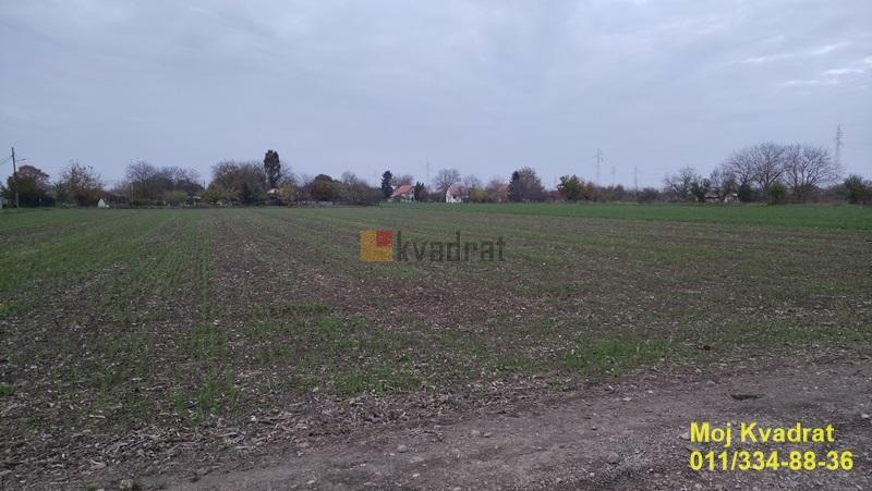Bild 1896951