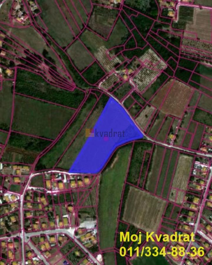 Bild 1897018