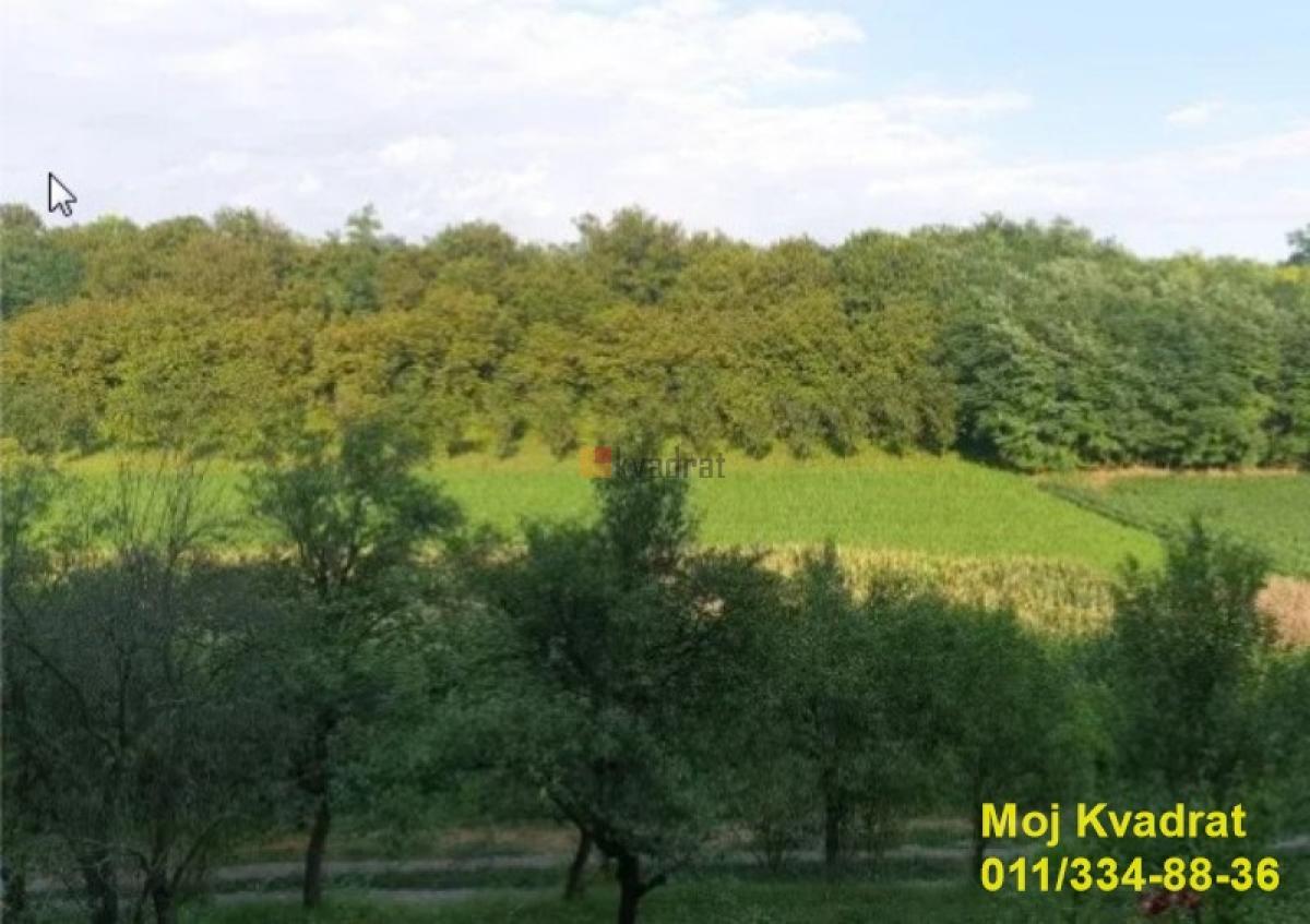 Bild 1898332