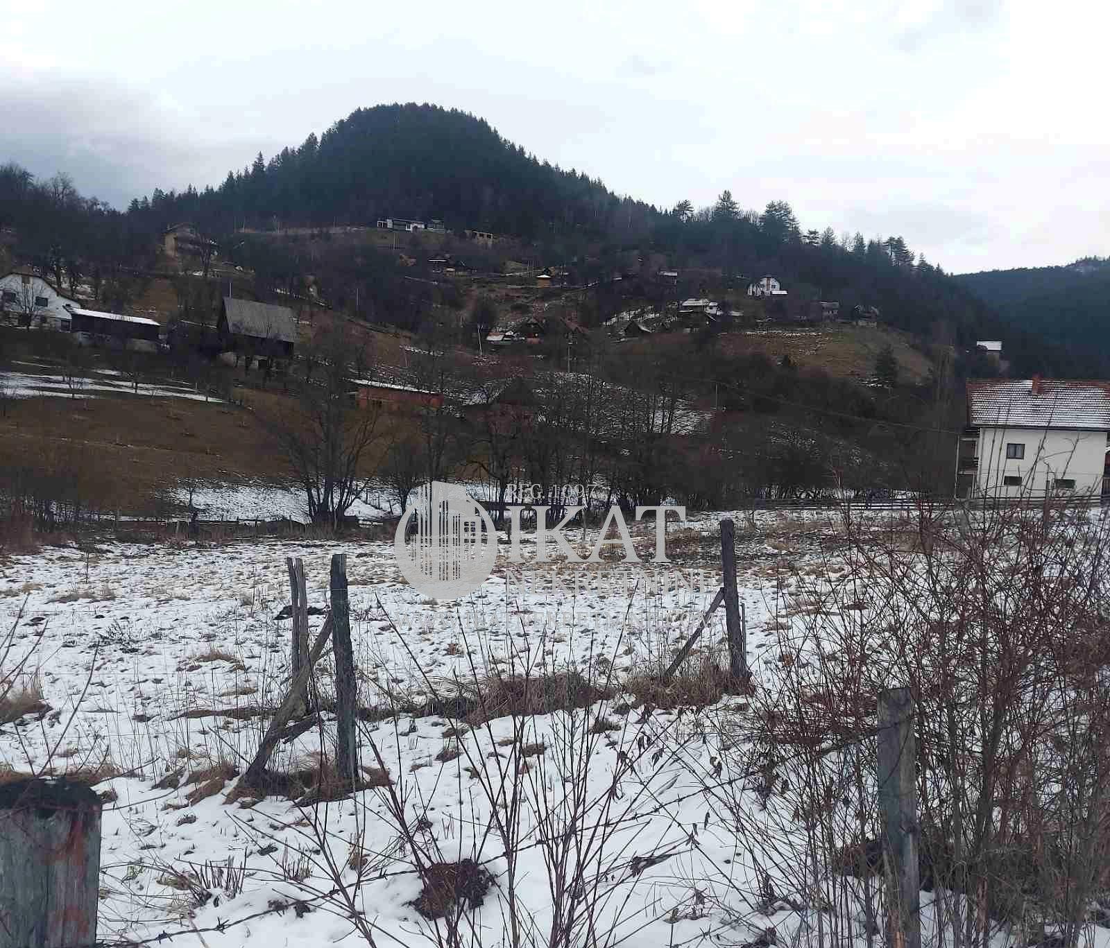 Bild 1913537