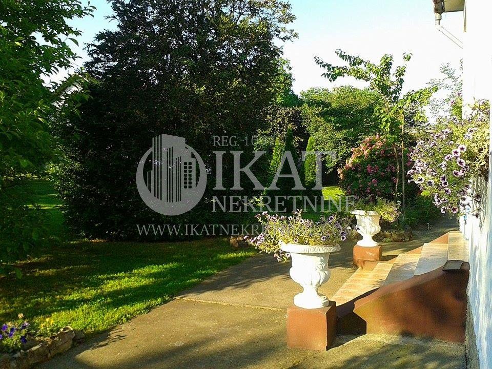 Bild 1913650