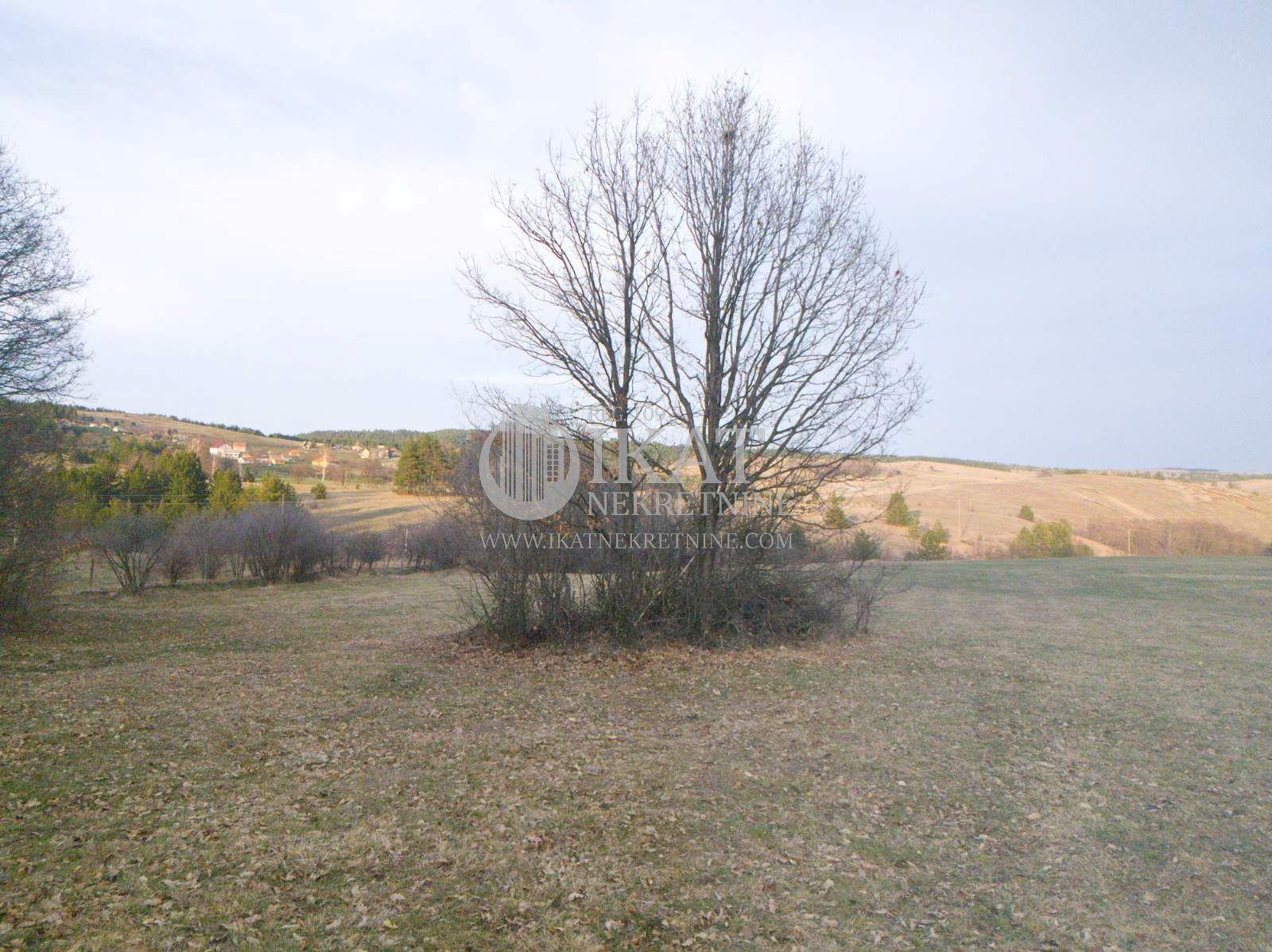 Bild 1913651