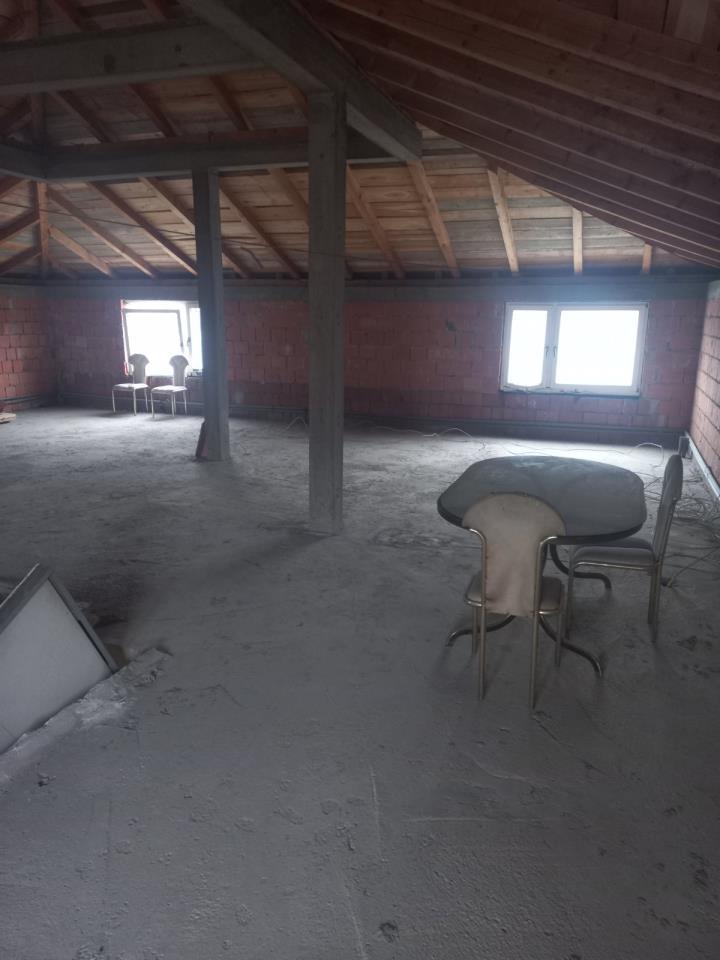 Bild 1923389