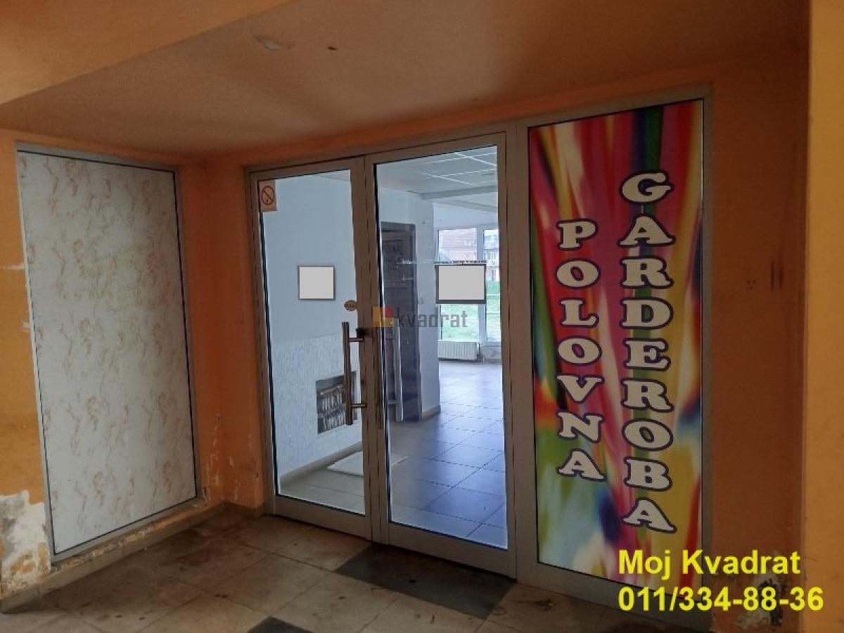 Bild 1945149