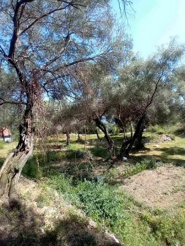 Bild 1947434