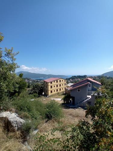 Bild 1947435