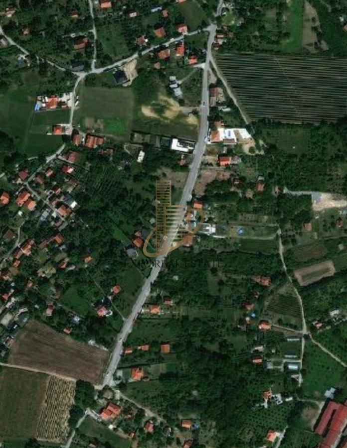 Bild 1952055