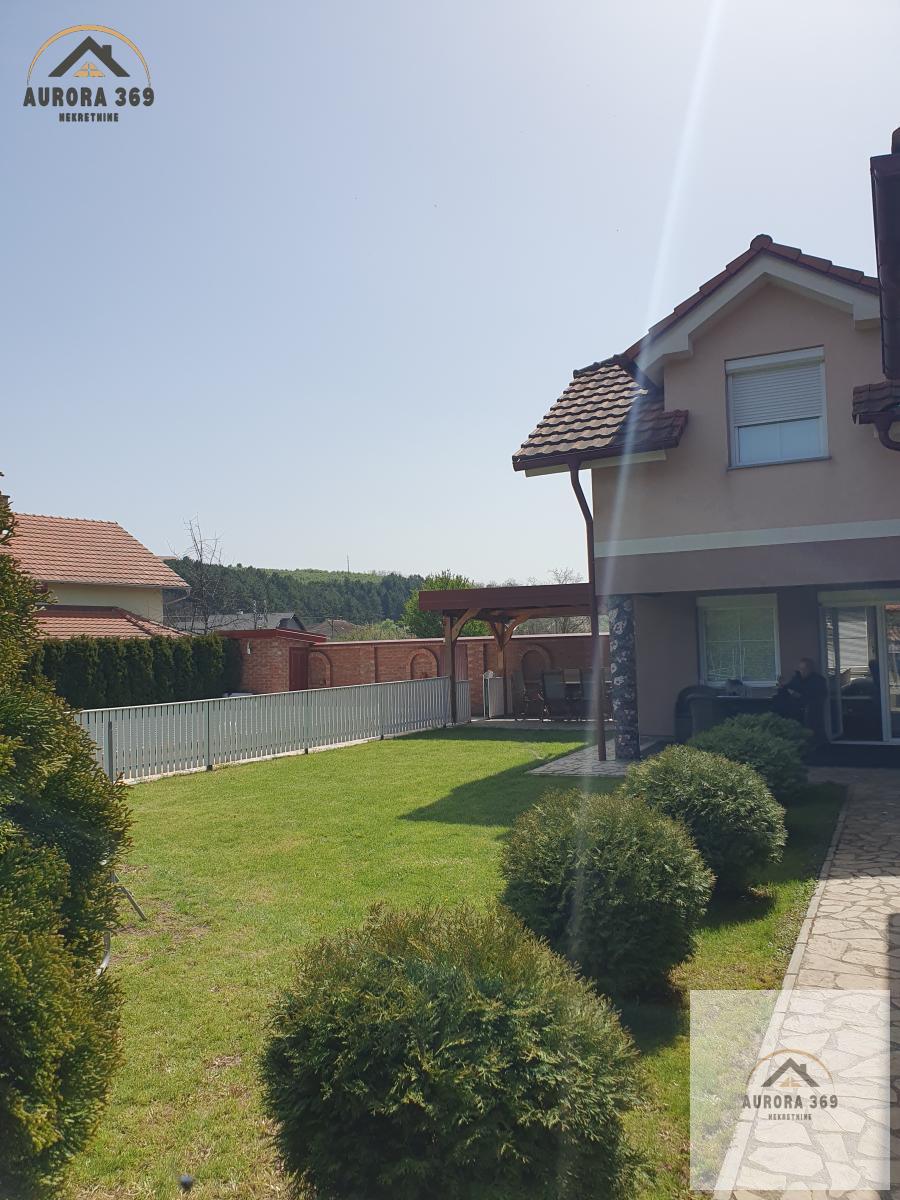 Bild 1956115