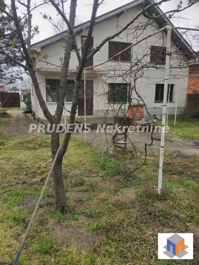 Bild 2010663