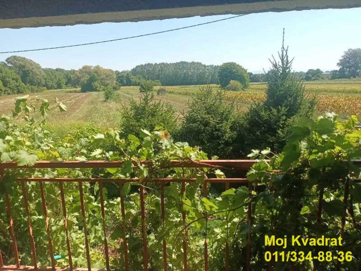 Bild 2068199
