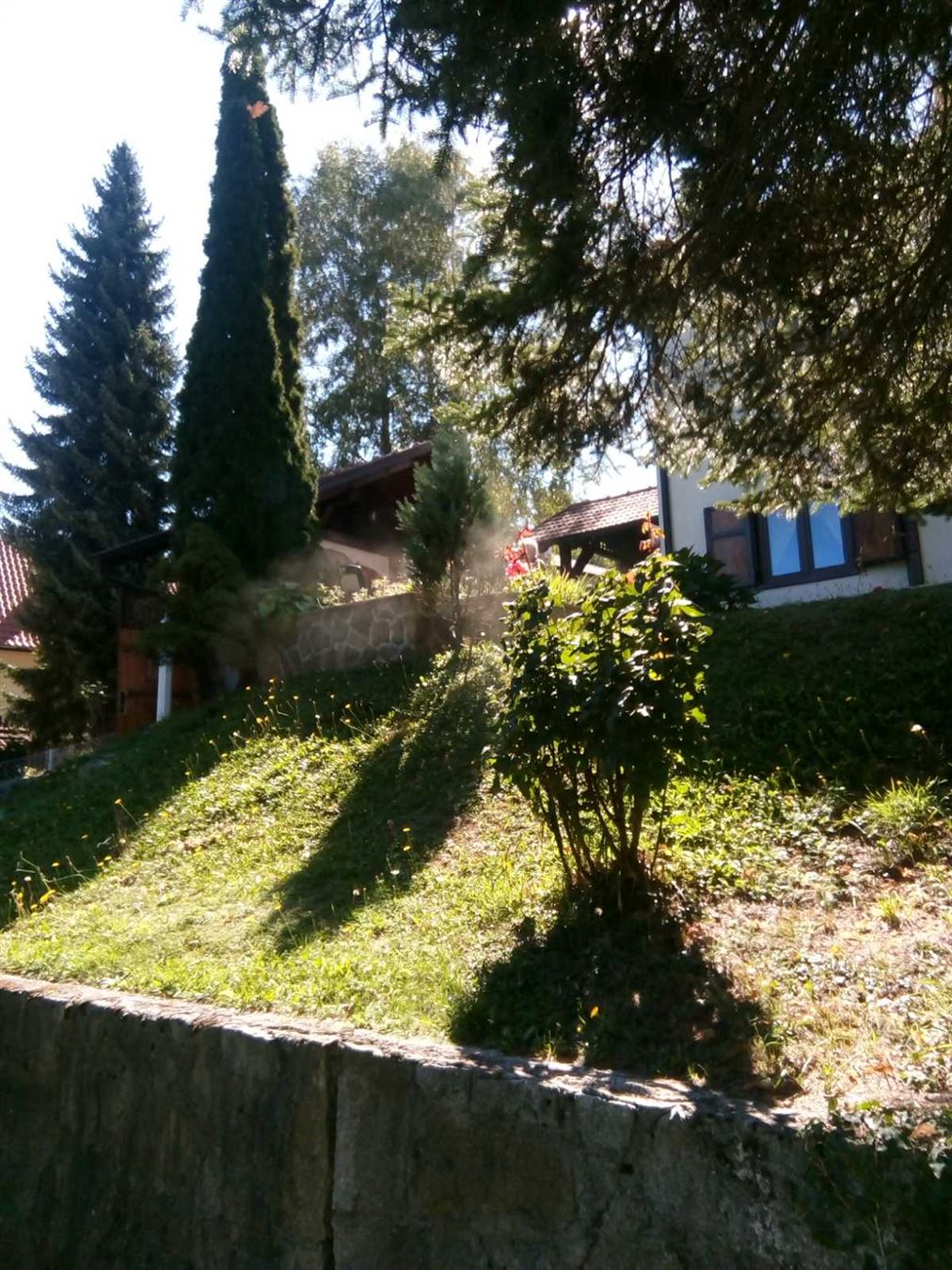 Bild 2093808