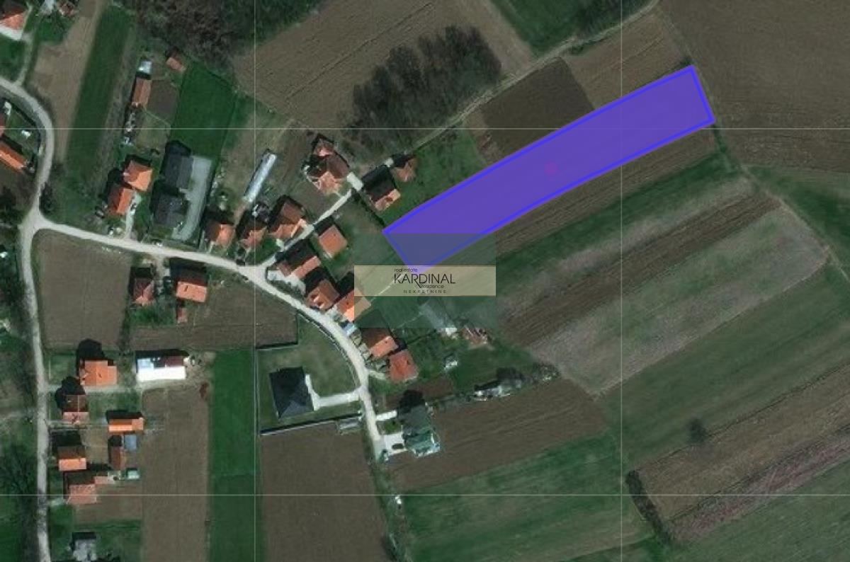 Bild 2114822