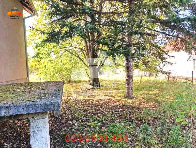 Bild 2129408