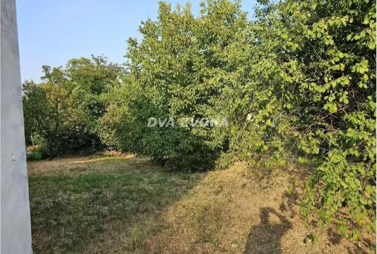 Bild 2259587
