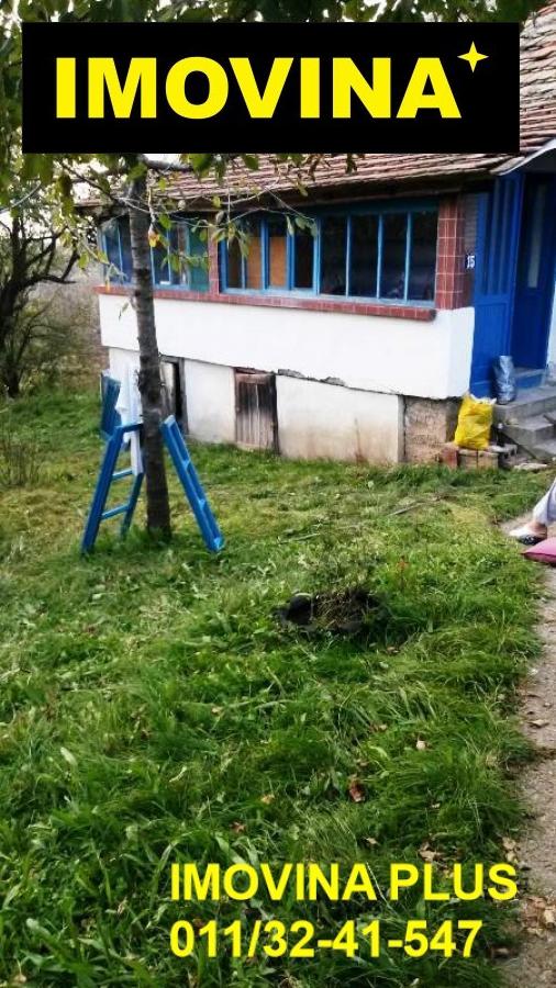 Bild 2289341