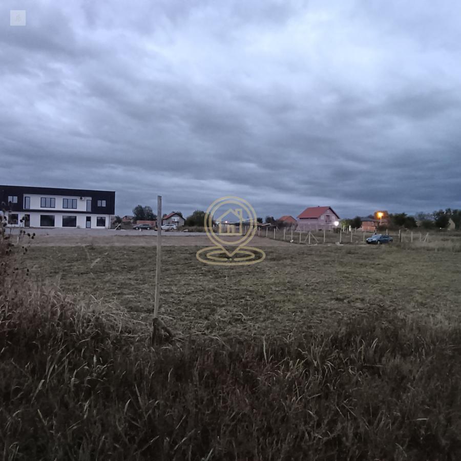Bild 2301605