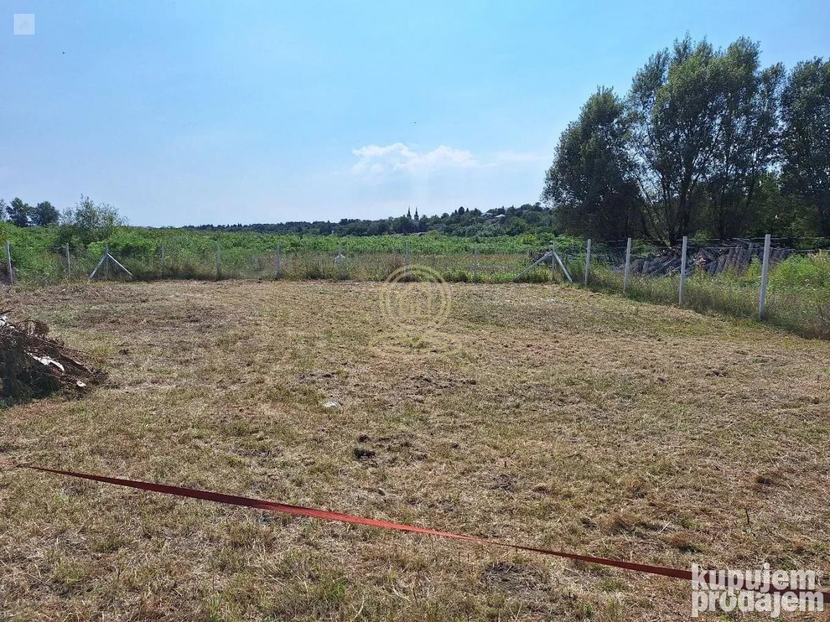 Bild 2301621