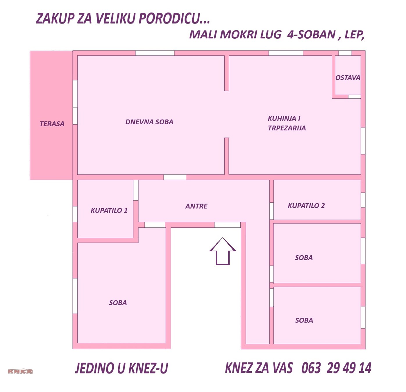 Bild 2306944