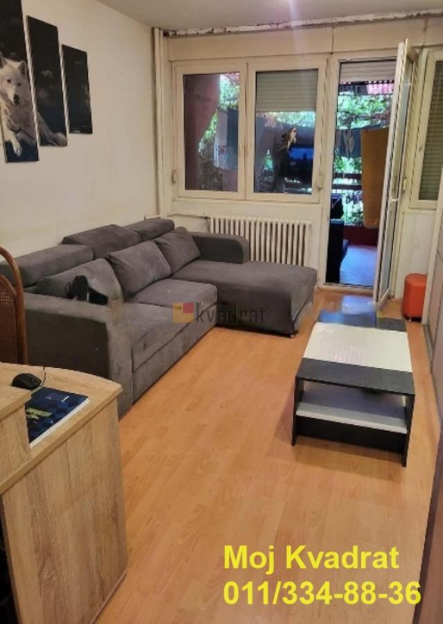 Bild 2313937