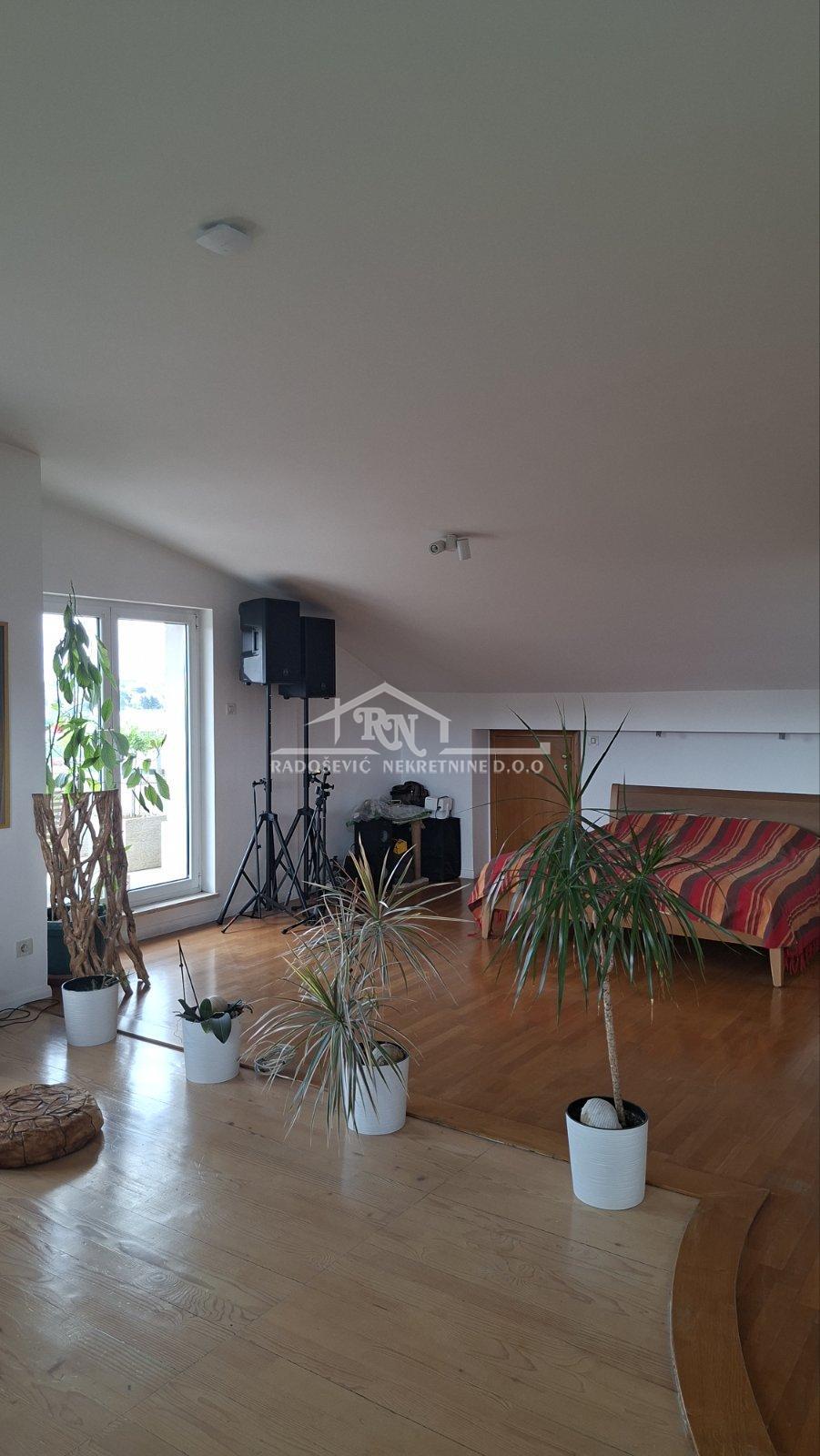 Bild 2317949