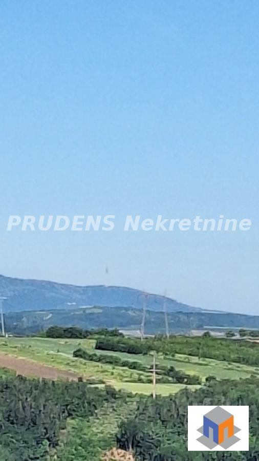 Bild 2322355