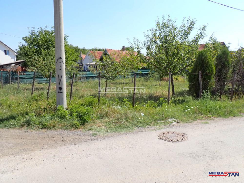 Bild 2342923