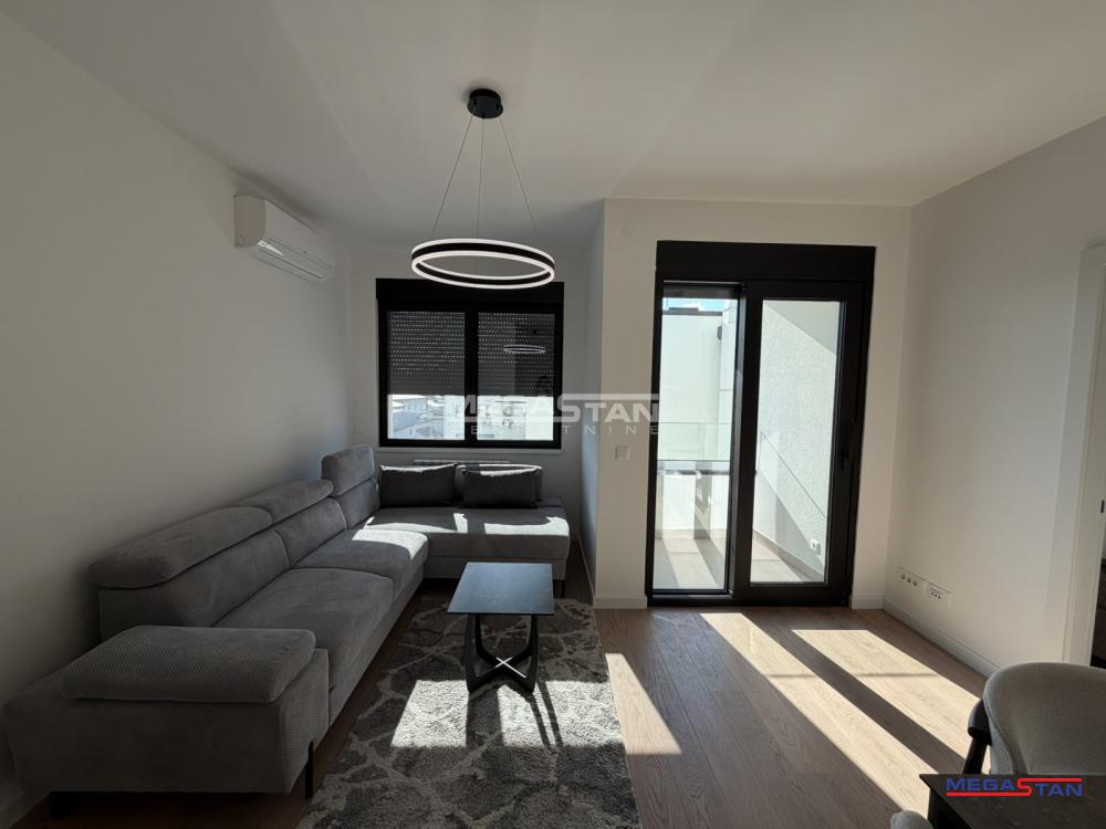 Bild 2346113