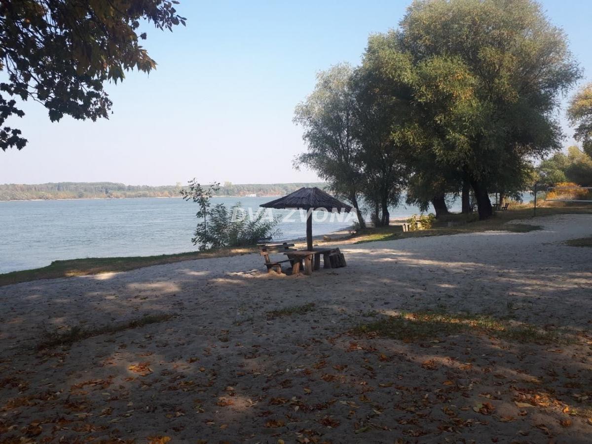 Bild 2352161