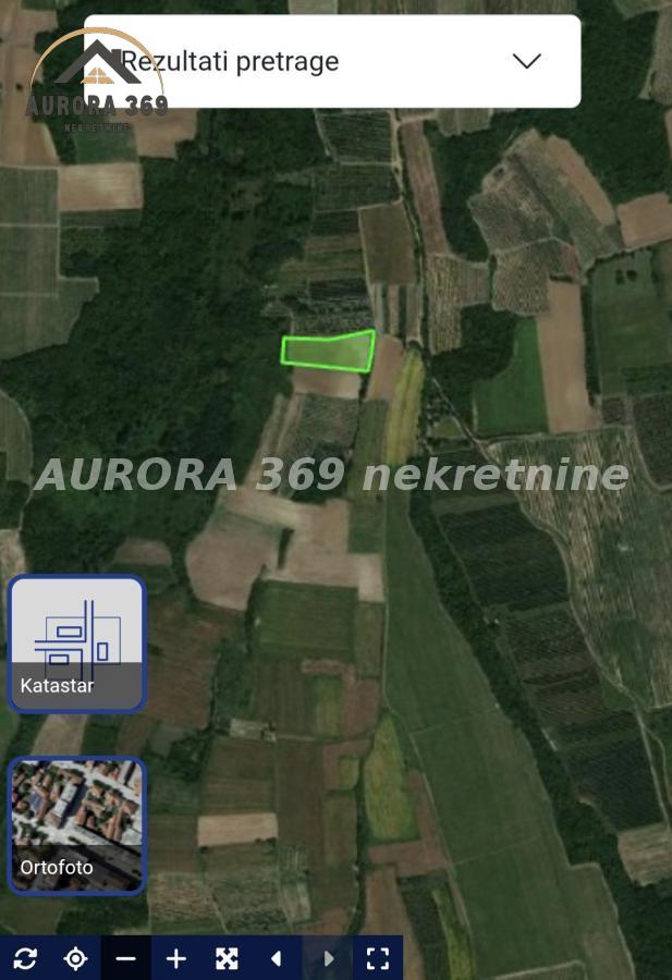 Bild 2353166