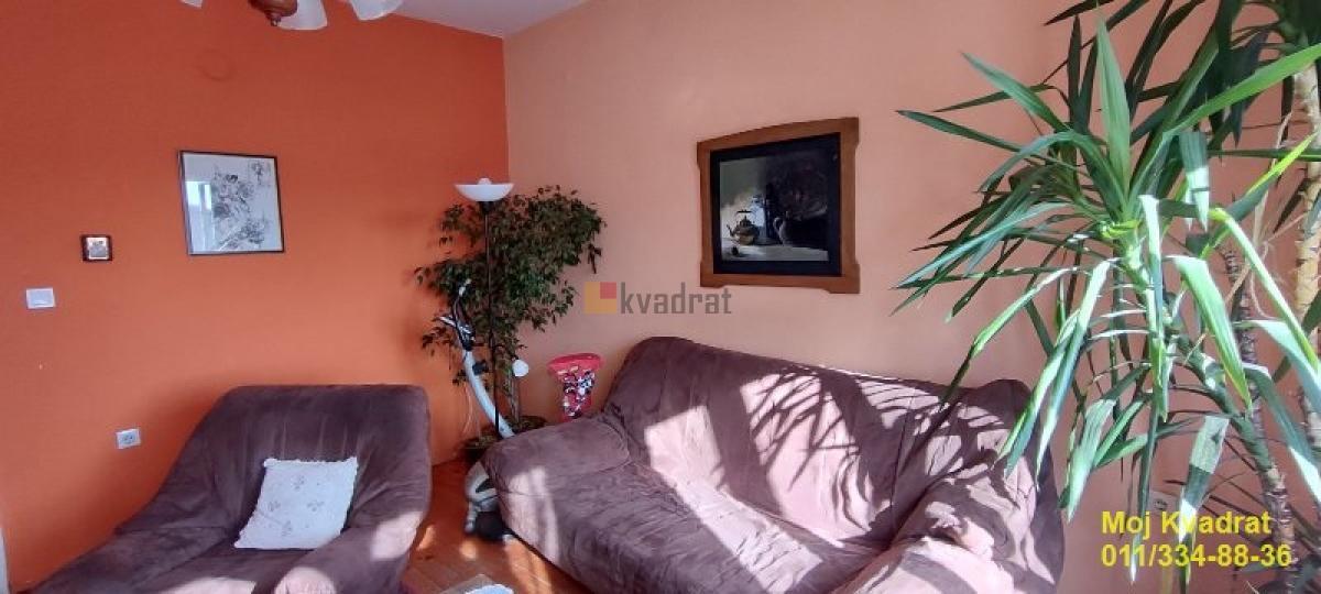 Bild 2367869