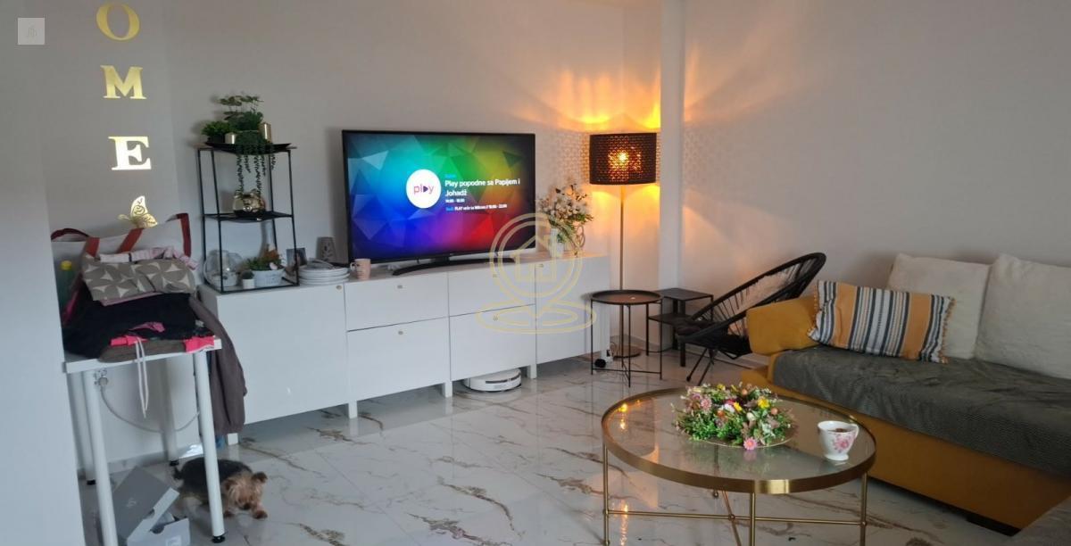 Bild 2378841