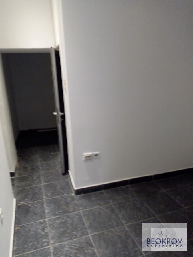 Bild 2391766