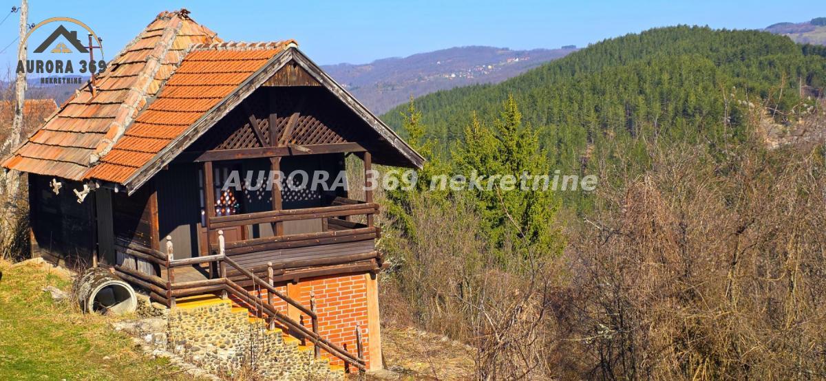 Bild 2395031