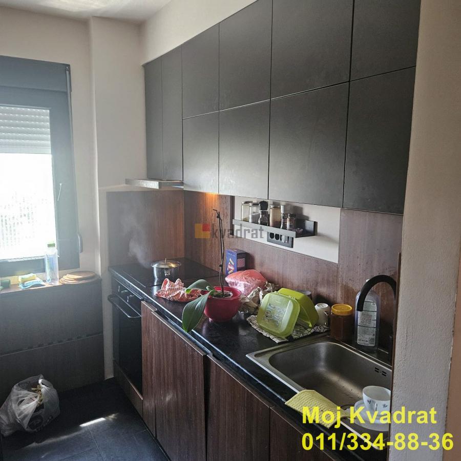 Bild 2398841