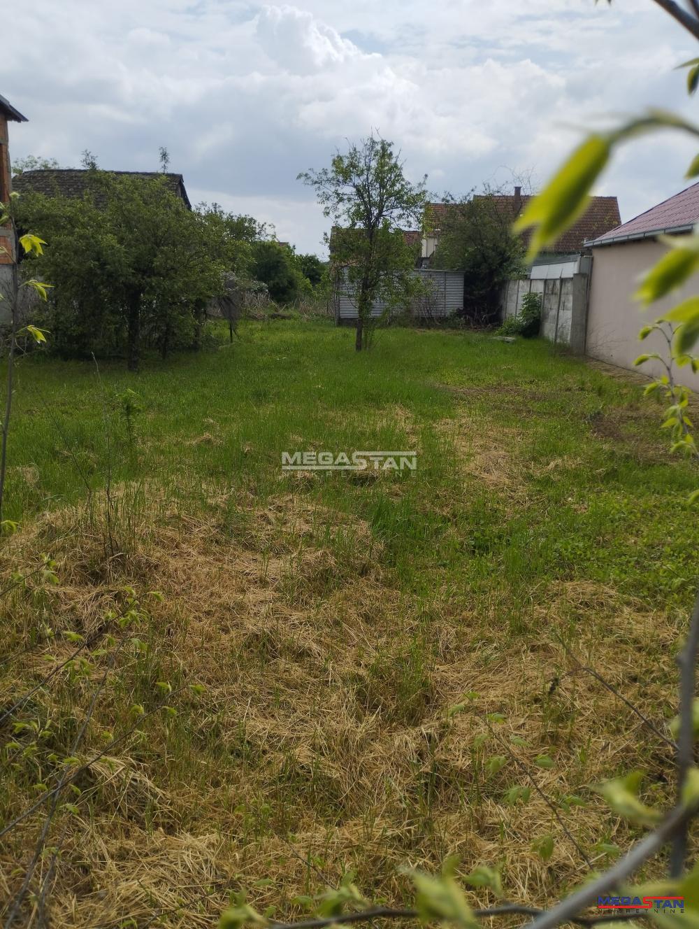Bild 2401085