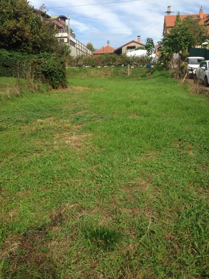 Bild 2409168