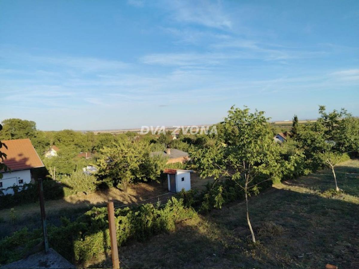 Bild 2410601