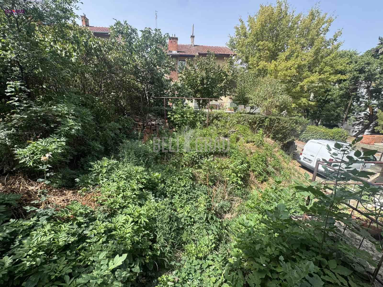 Bild 2415787