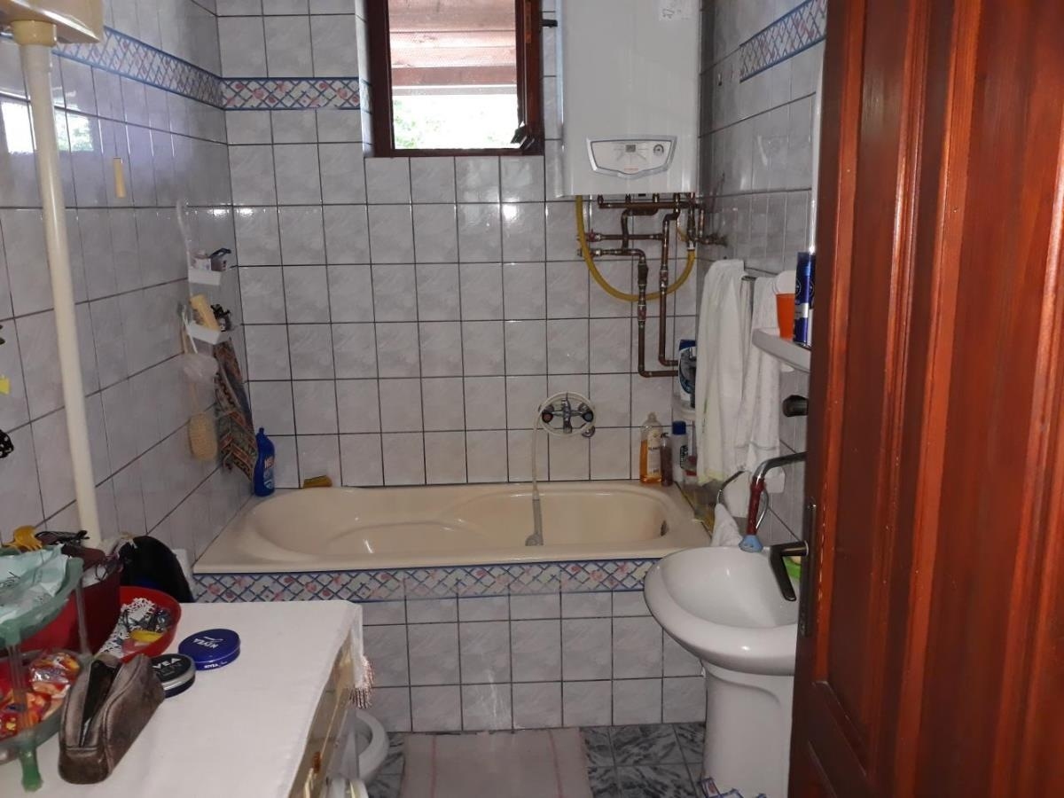 Bild 876106